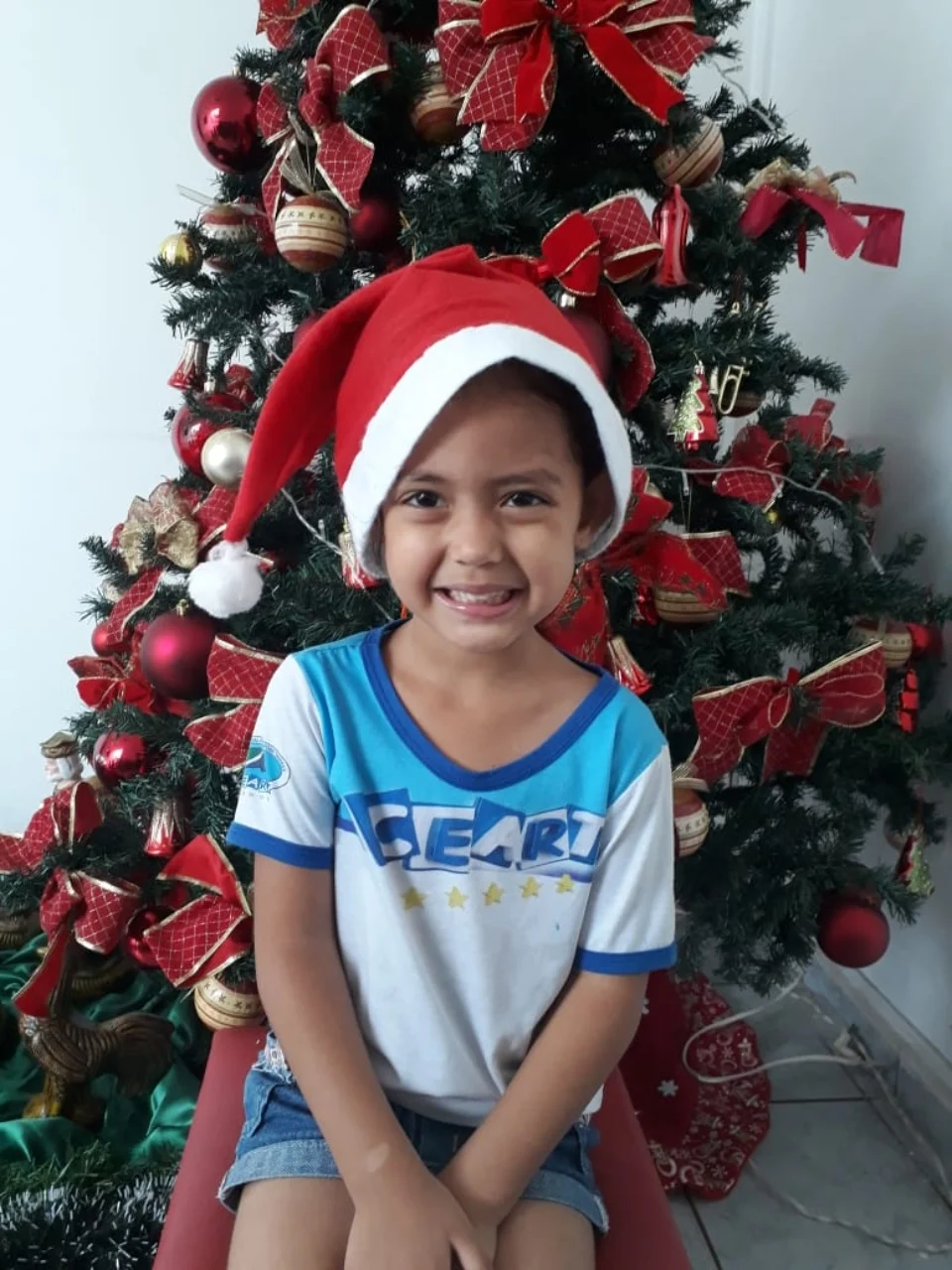 Natal CEART - 2018 - Profª Mayara