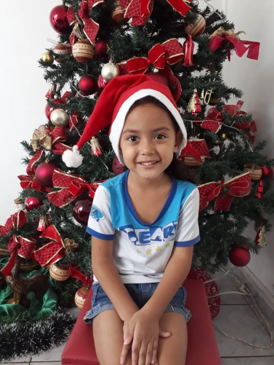 Natal CEART - 2018 - Profª Mayara