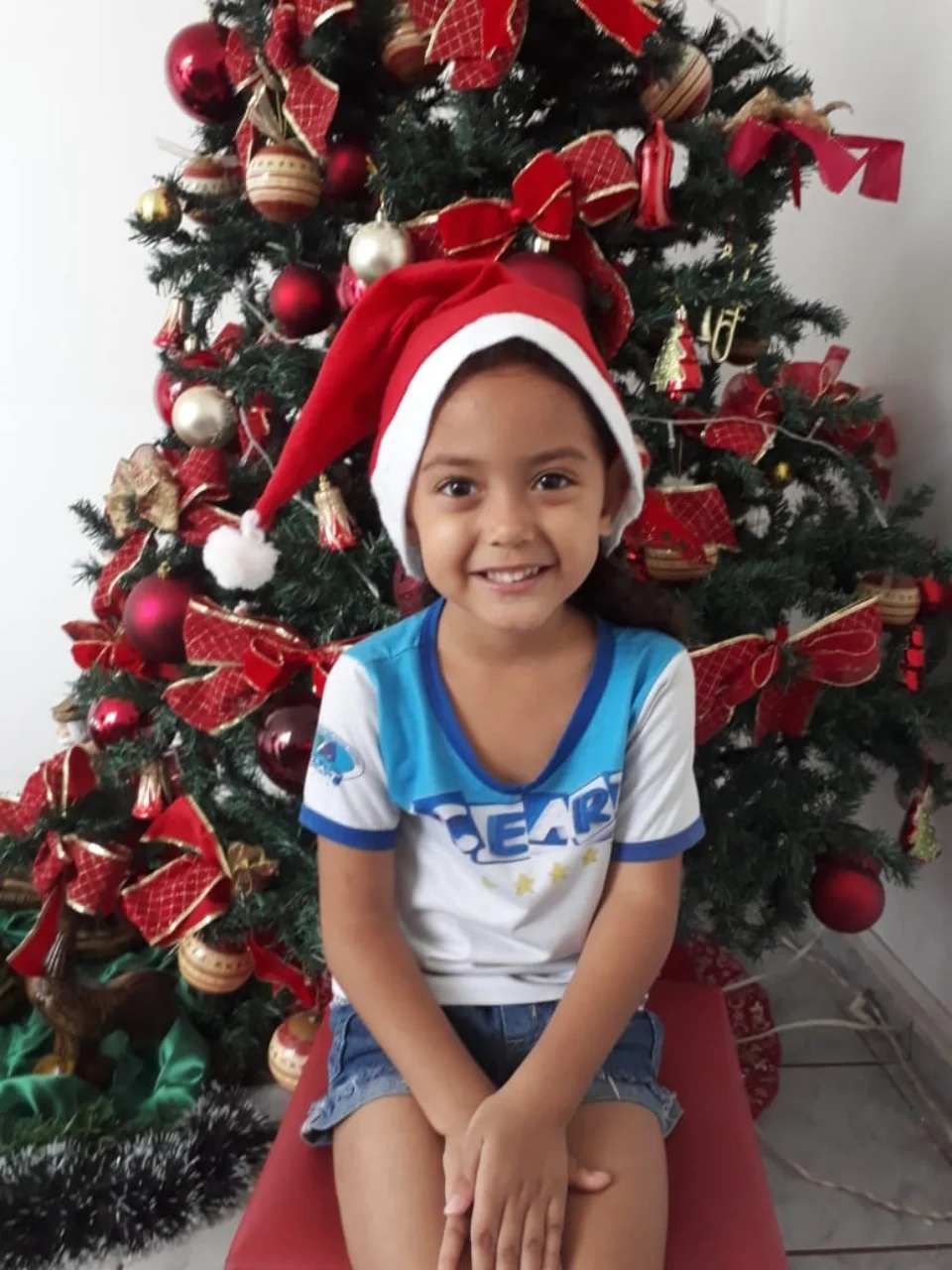 Natal CEART - 2018 - Profª Mayara