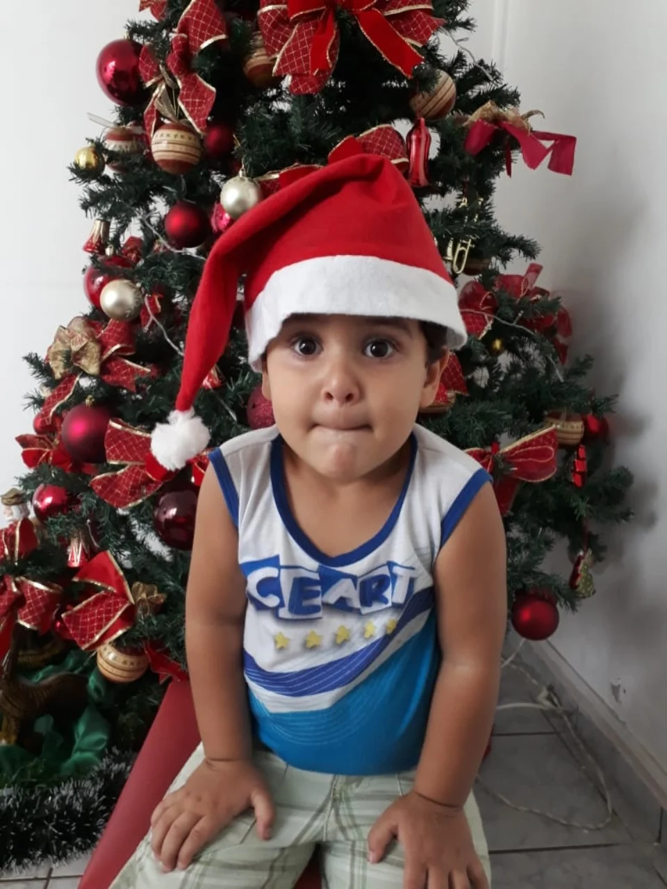 Natal CEART - 2018 - Profª Mayara