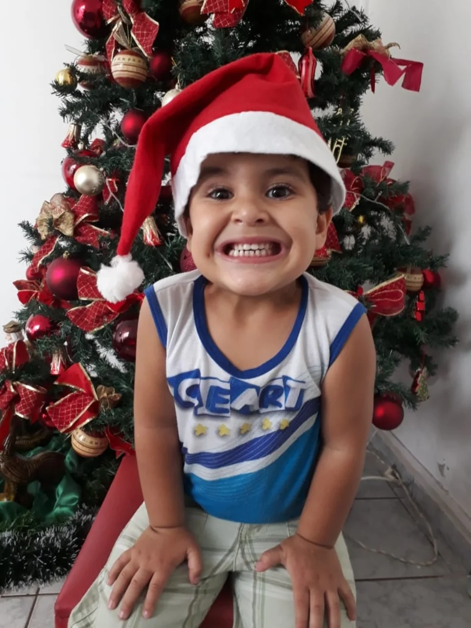 Natal CEART - 2018 - Profª Mayara