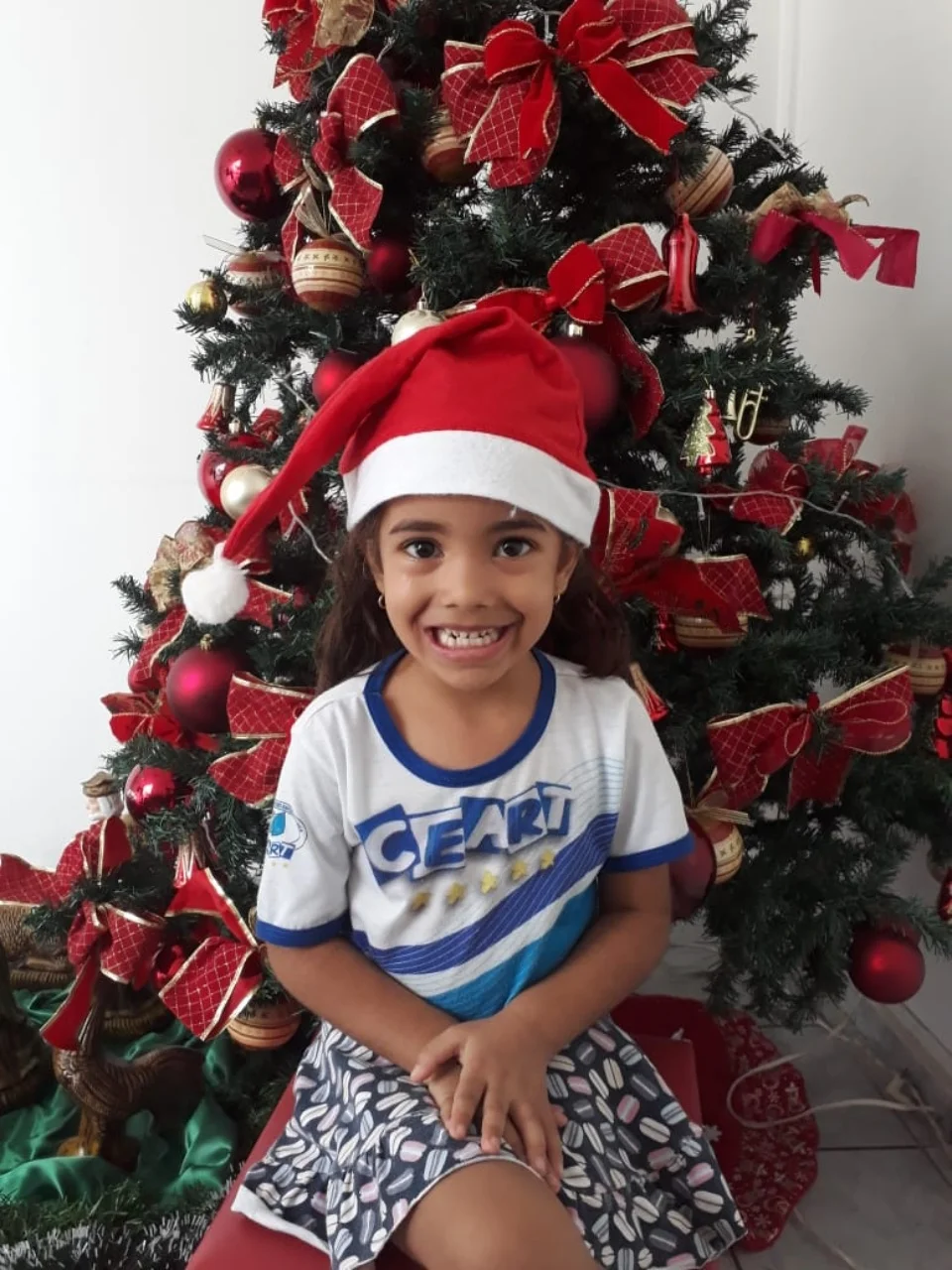 Natal CEART - 2018 - Profª Mayara