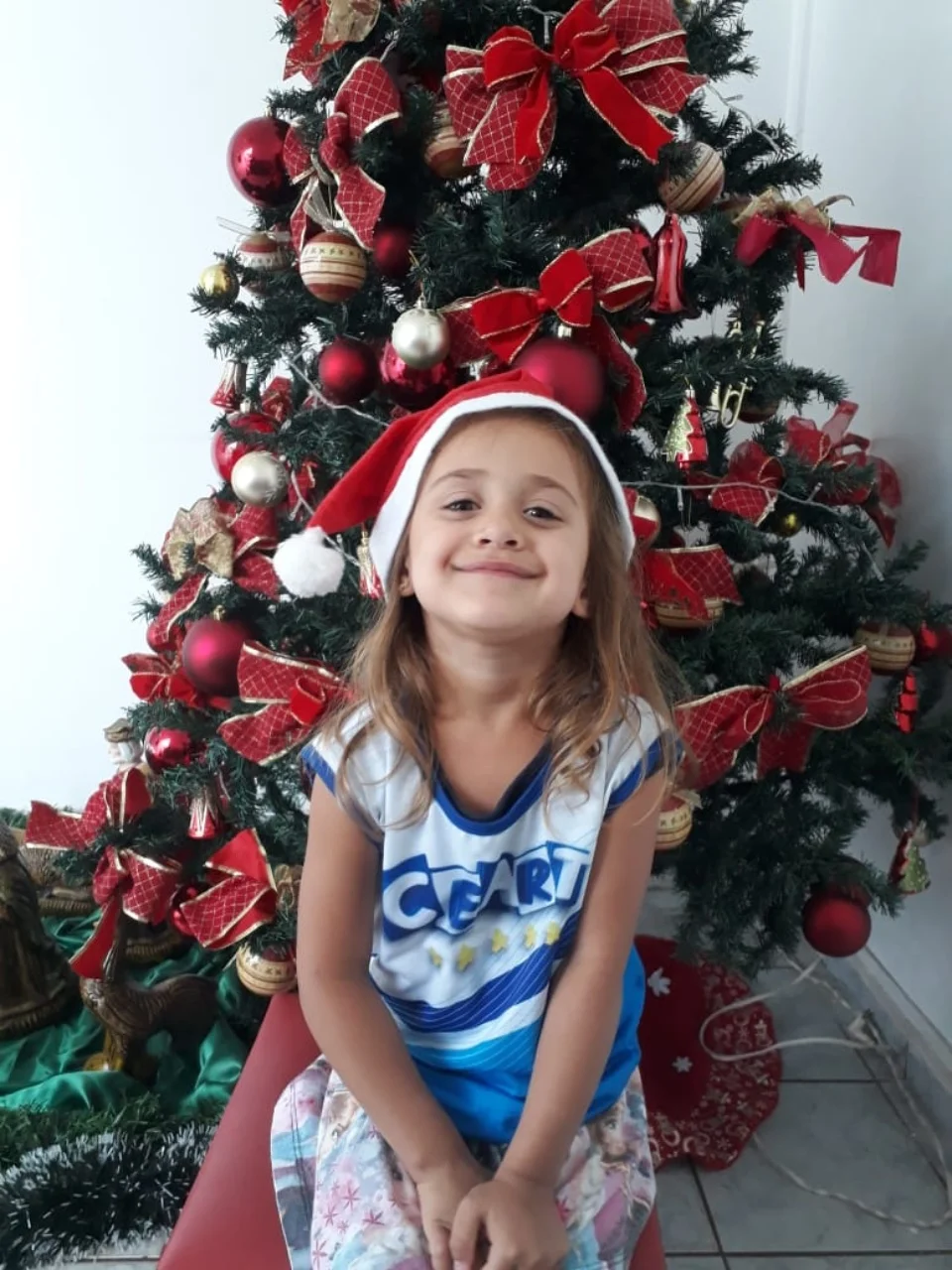 Natal CEART - 2018 - Profª Mayara