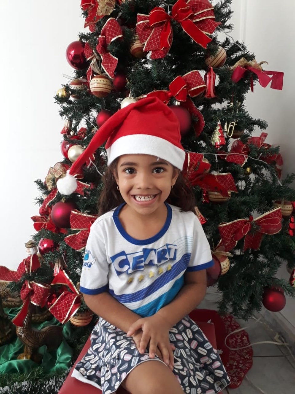 Natal CEART - 2018 - Profª Mayara