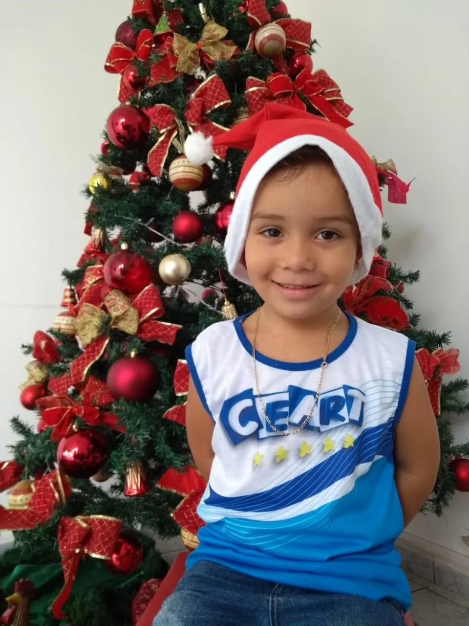 Natal CEART - 2018 - Profª Maria Lígia