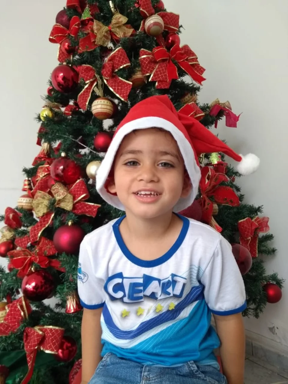 Natal CEART - 2018 - Profª Maria Lígia