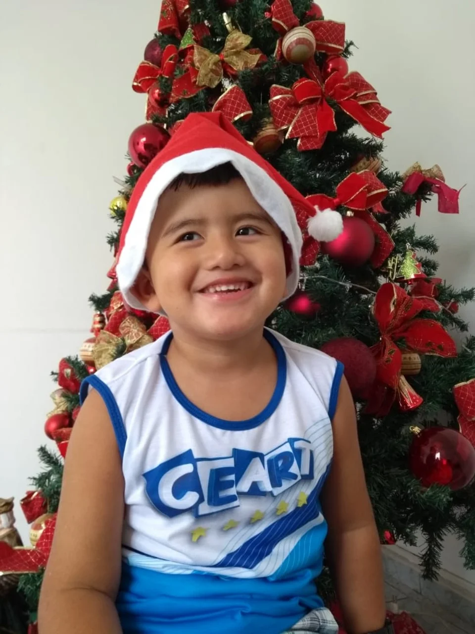 Natal CEART - 2018 - Profª Maria Lígia