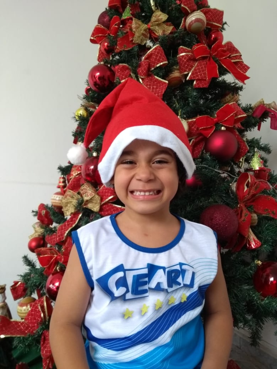 Natal CEART - 2018 - Profª Maria Lígia