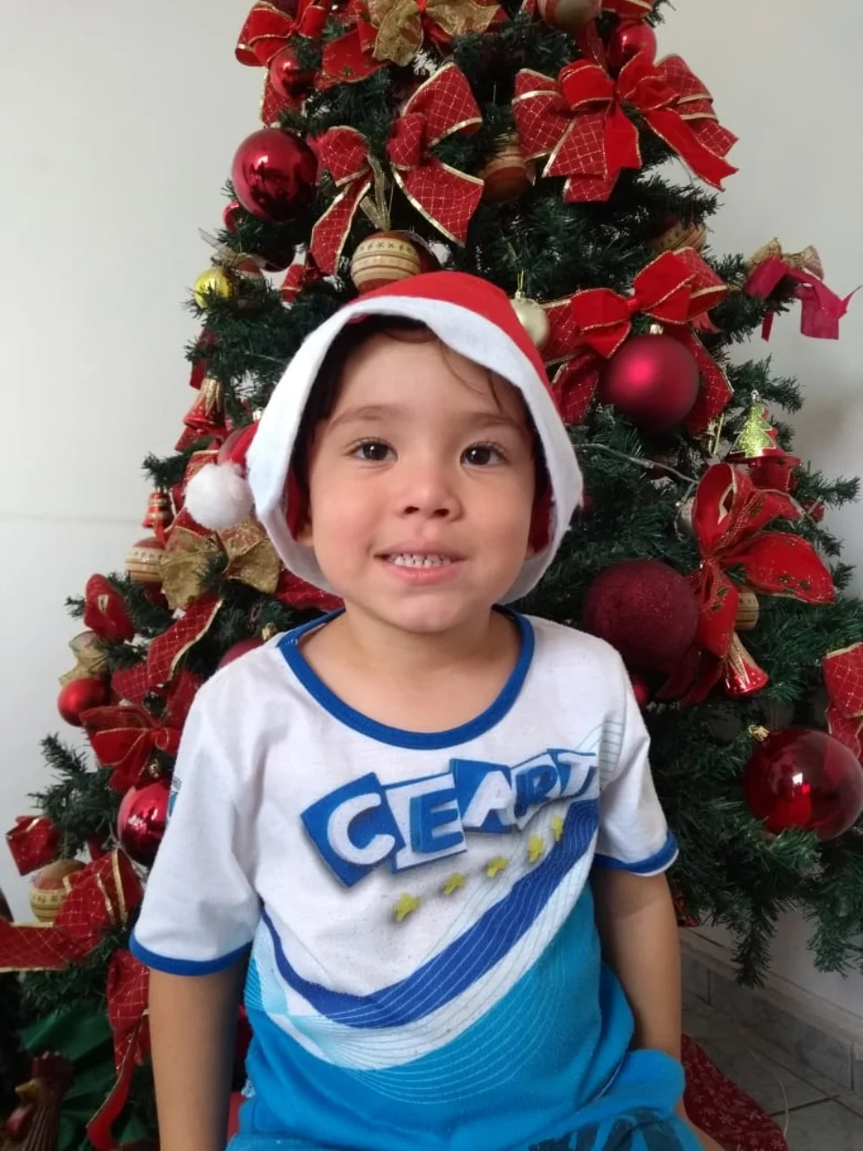 Natal CEART - 2018 - Profª Maria Lígia