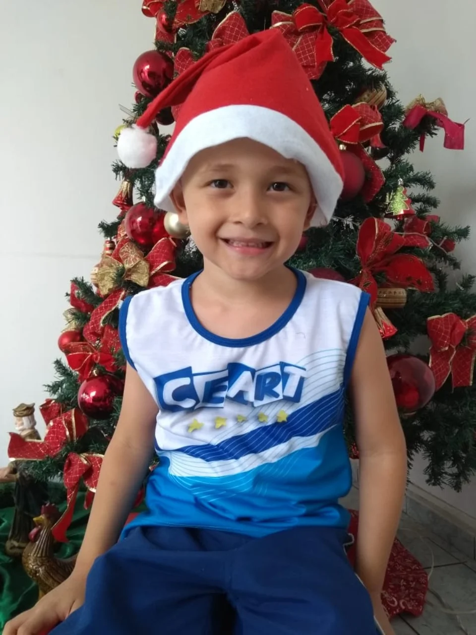 Natal CEART - 2018 - Profª Maria Lígia