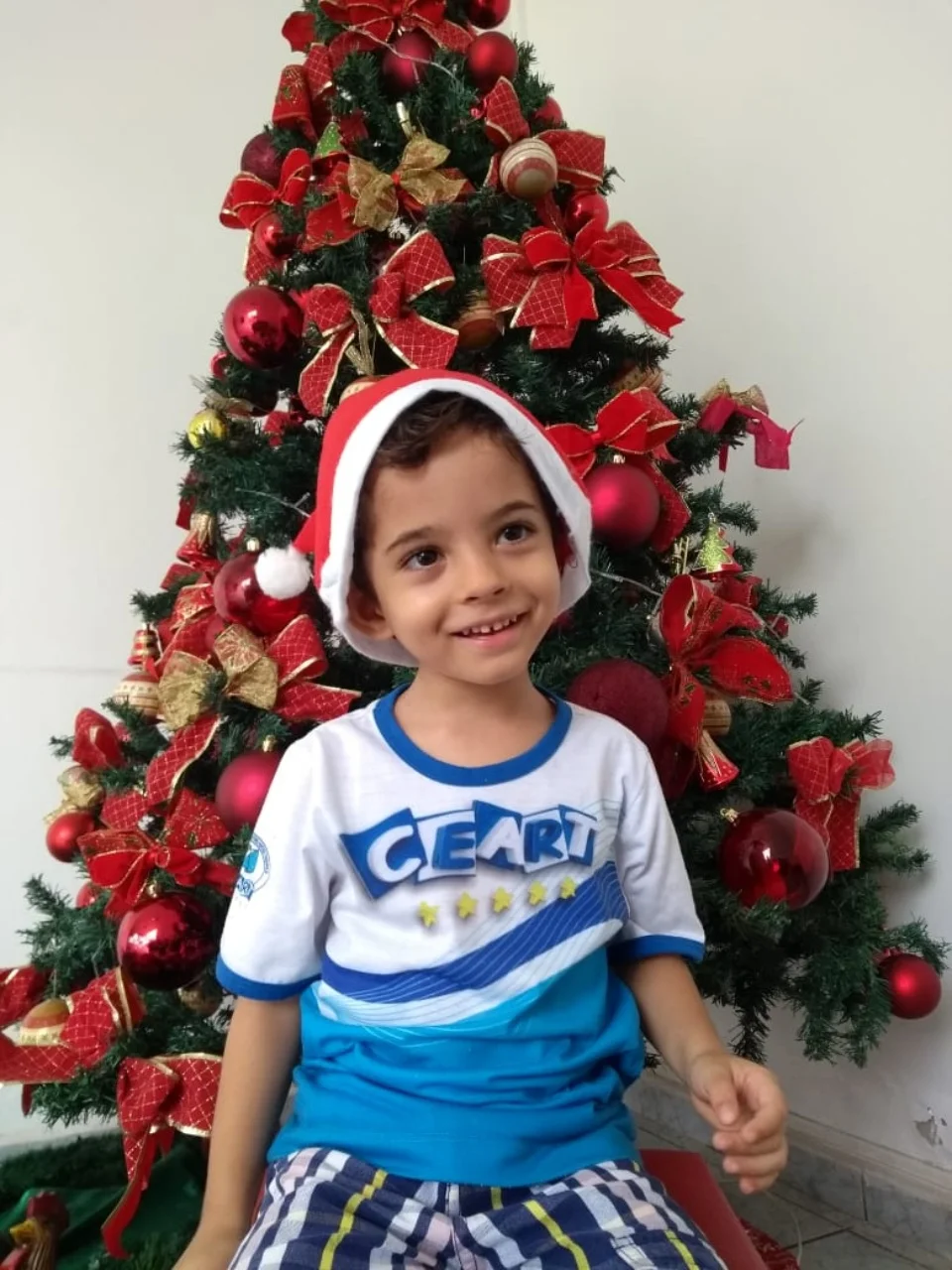 Natal CEART - 2018 - Profª Maria Lígia