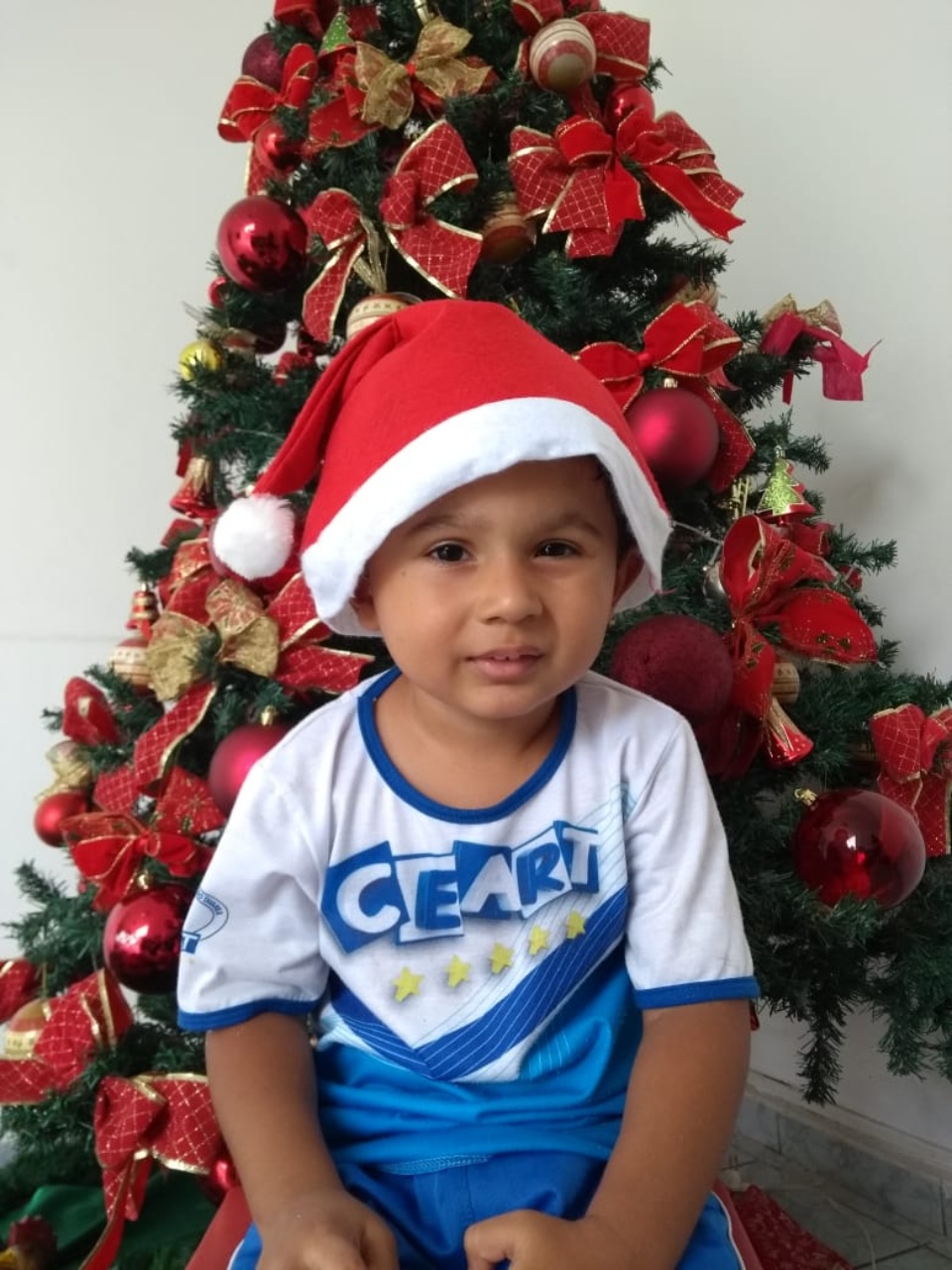 Natal CEART - 2018 - Profª Maria Lígia