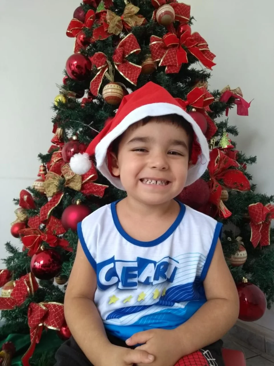 Natal CEART - 2018 - Profª Maria Lígia