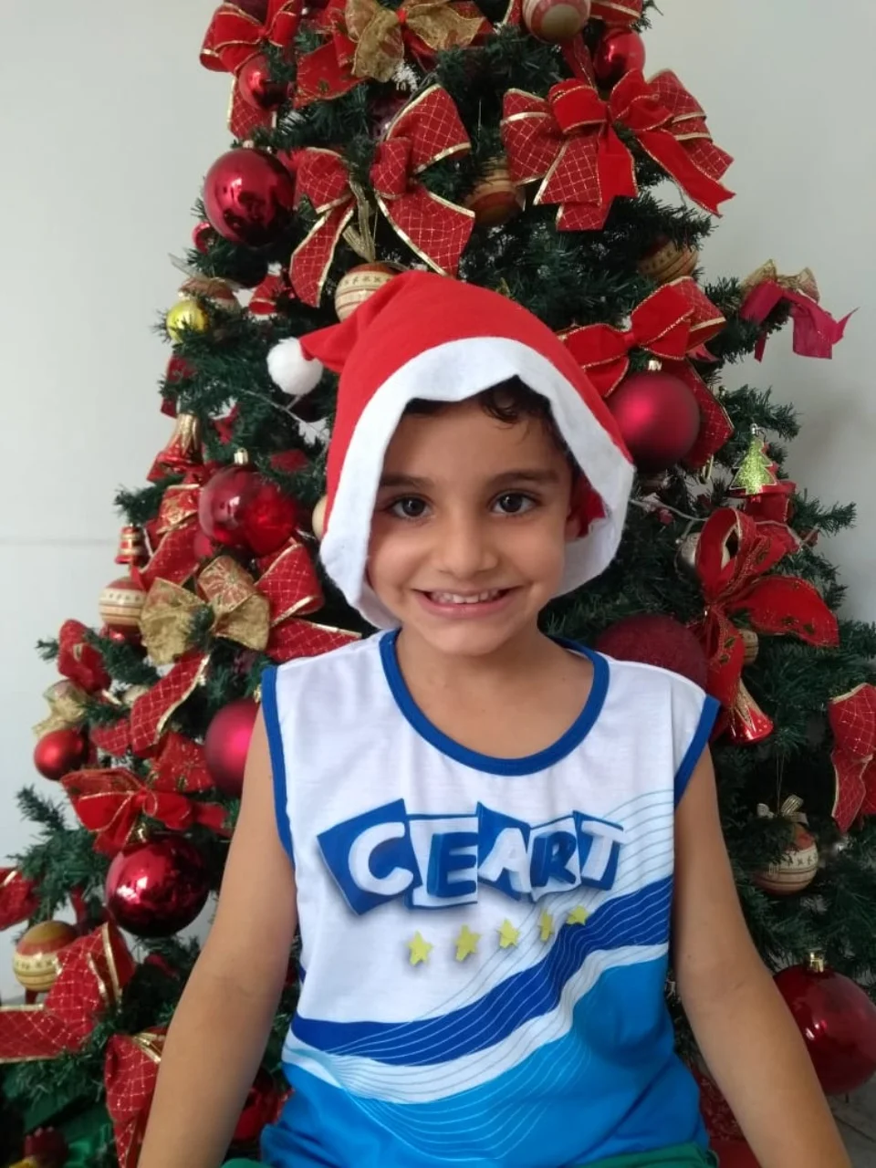 Natal CEART - 2018 - Profª Maria Lígia
