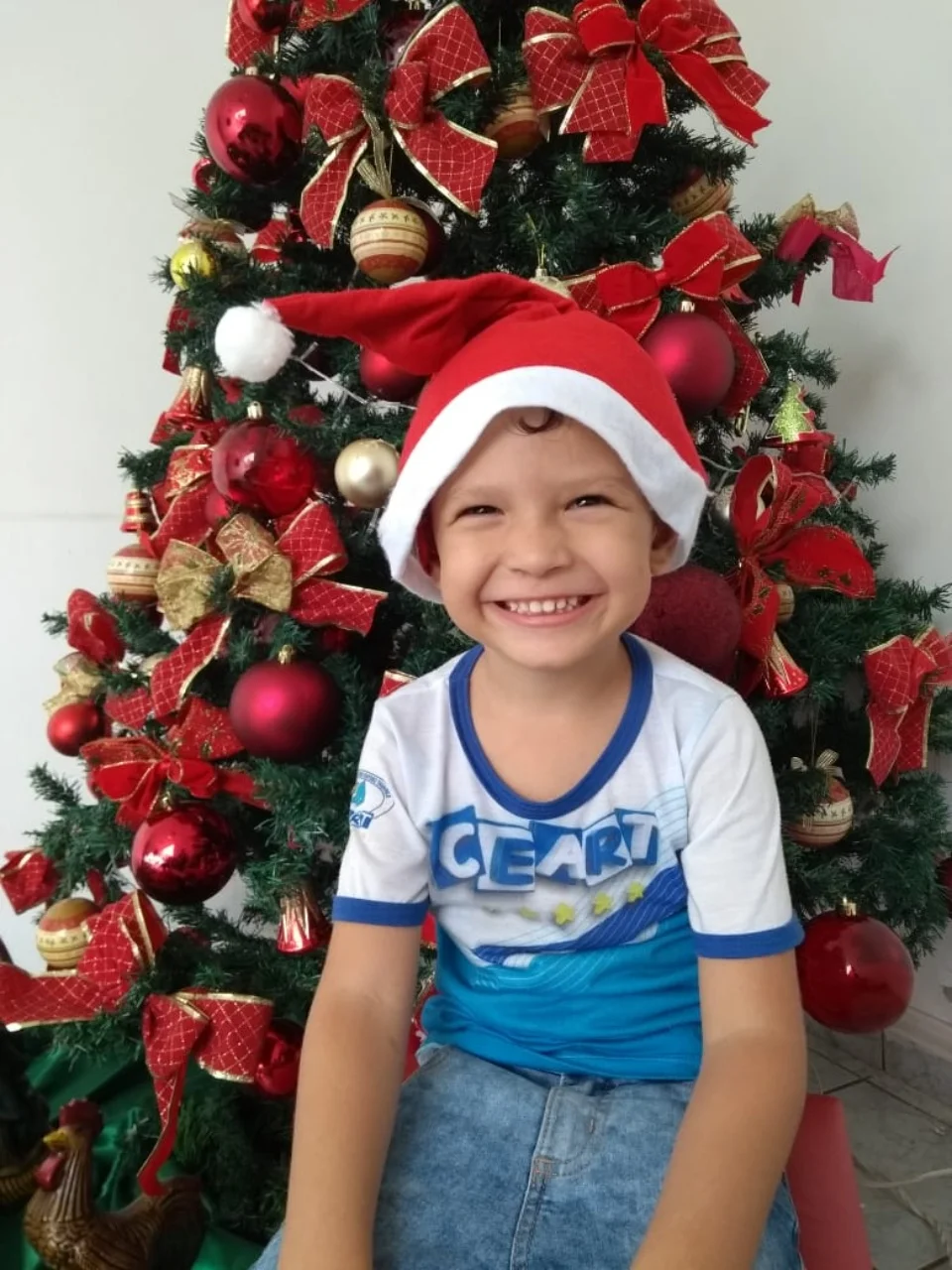 Natal CEART - 2018 - Profª Maria Lígia