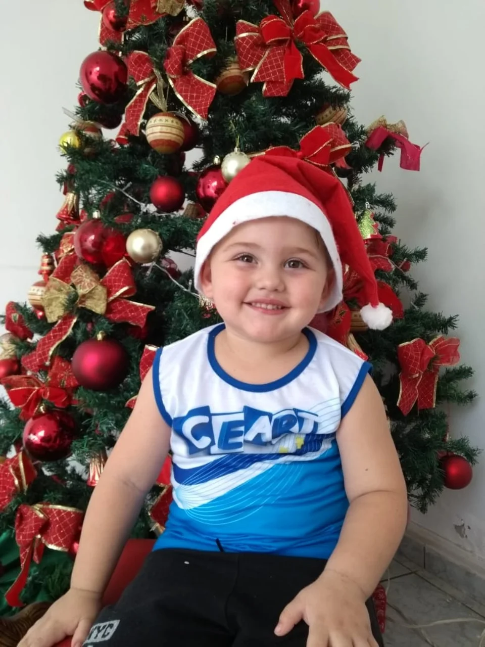 Natal CEART - 2018 - Profª Maria Lígia