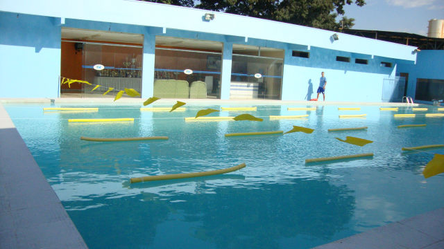 Festival de Natação 2011