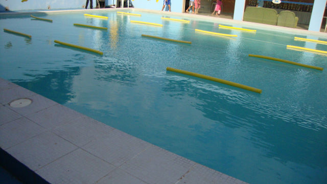 Festival de Natação 2011