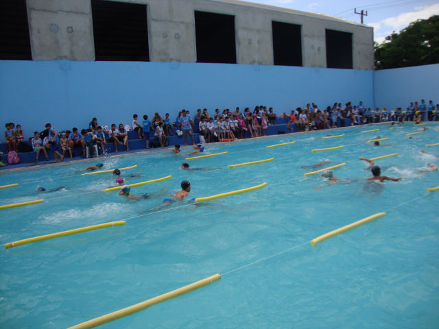 Festival de Natação 2011