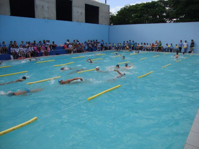 Festival de Natação 2011