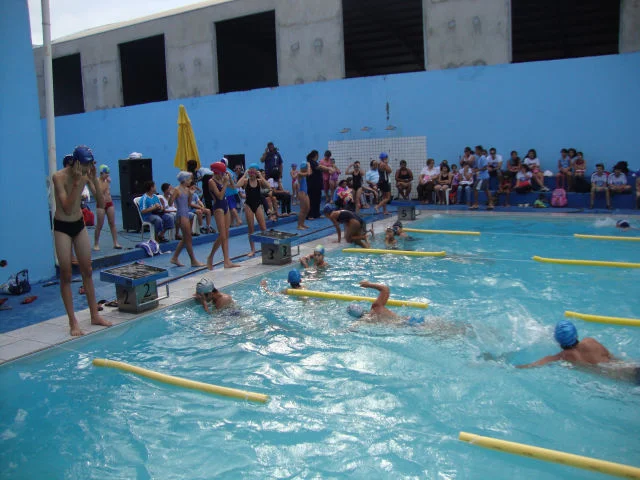 Festival de Natação 2011