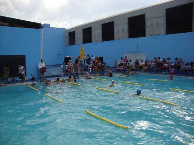 Festival de Natação 2011