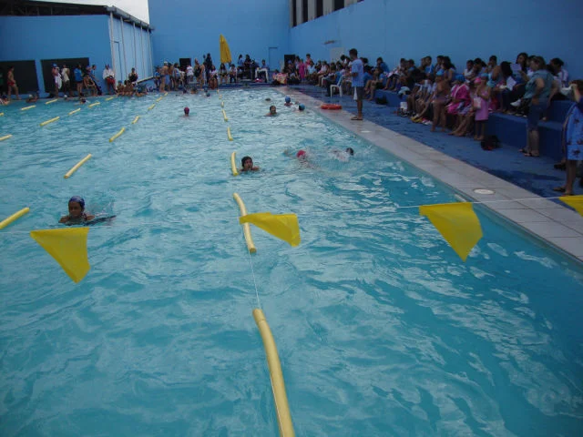 Festival de Natação 2011