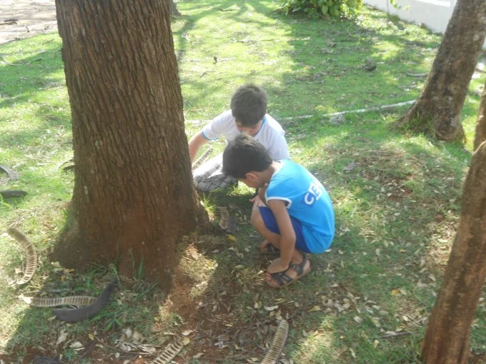 Dia das Crianças de Educação Infantil no Ceper II