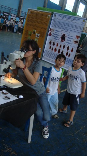 Feira de Ciências 2012