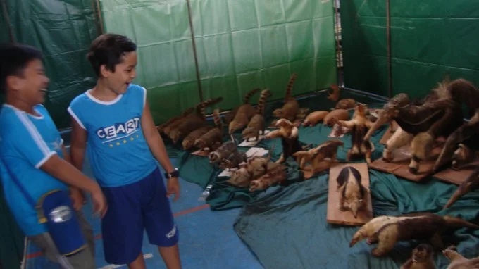 Feira de Ciências 2012