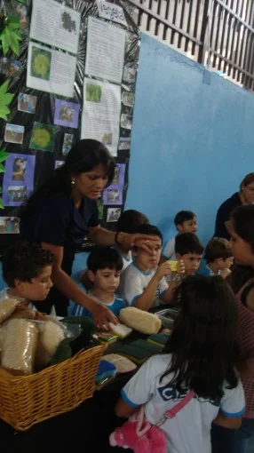 Feira de Ciências 2012