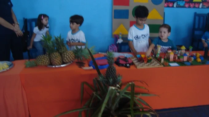 Feira de Ciências 2012