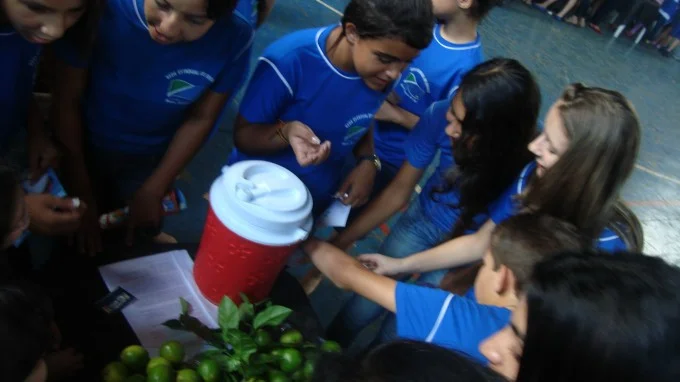 Feira de Ciências 2012