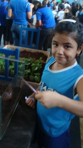 Feira de Ciências 2012