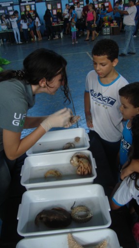 Feira de Ciências 2012