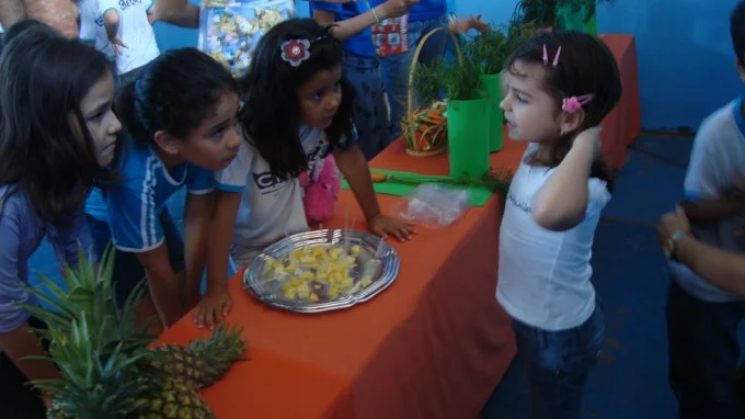 Feira de Ciências 2012