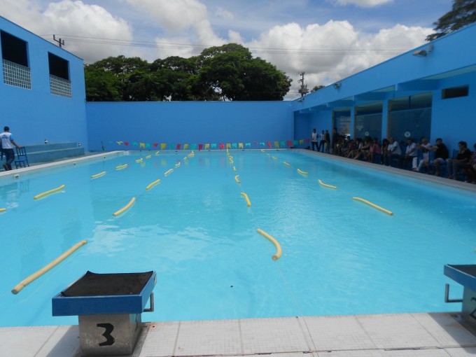 Festival de Natação 2012