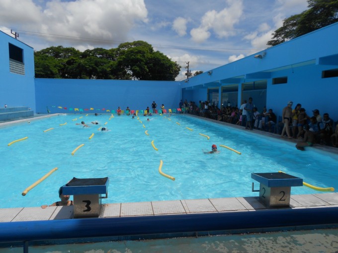 Festival de Natação 2012