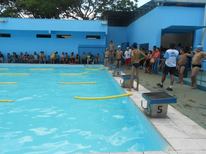 Festival de Natação 2012
