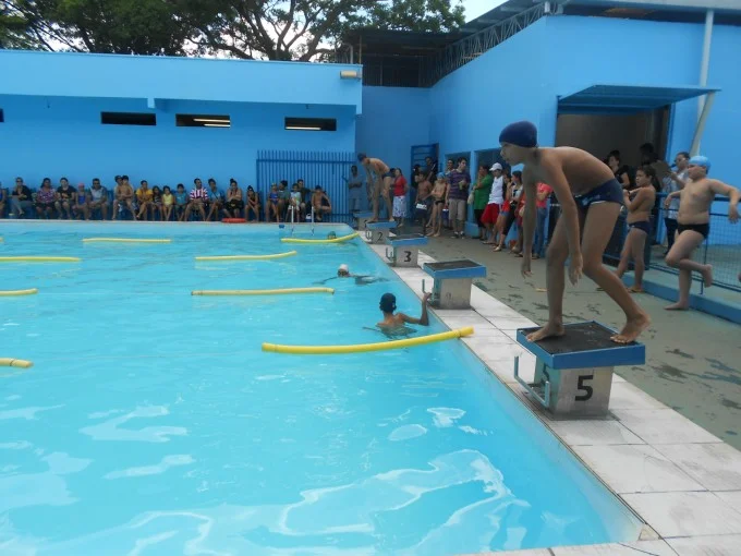 Festival de Natação 2012