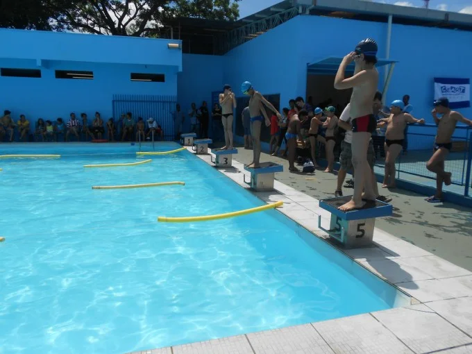 Festival de Natação 2012