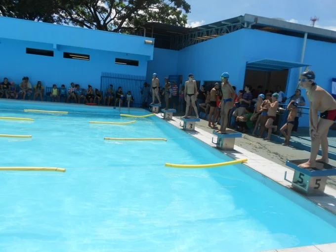 Festival de Natação 2012