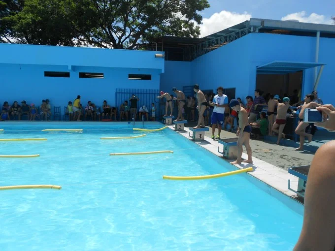 Festival de Natação 2012