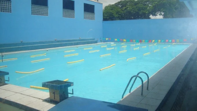 Festival de Natação 2012