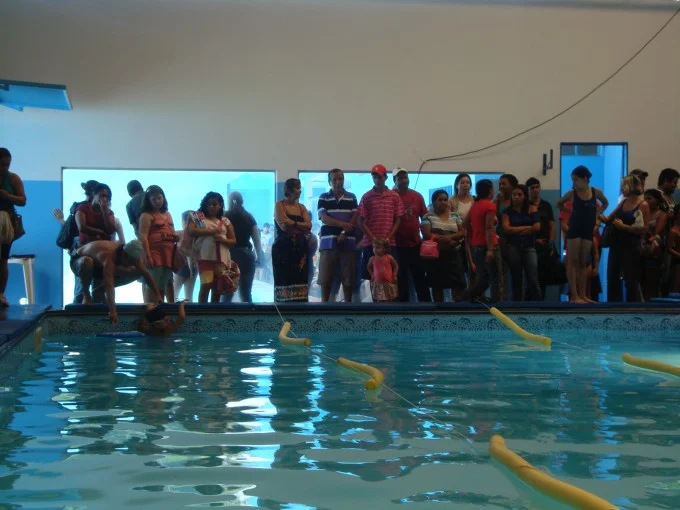 Festival de Natação 2012
