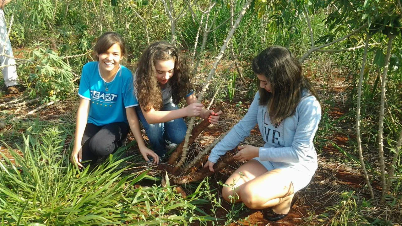 Aula de Campo - Turma 7º A - Profª Alessandra Aula de Campo - Turma 7º A - Profª Alessandra