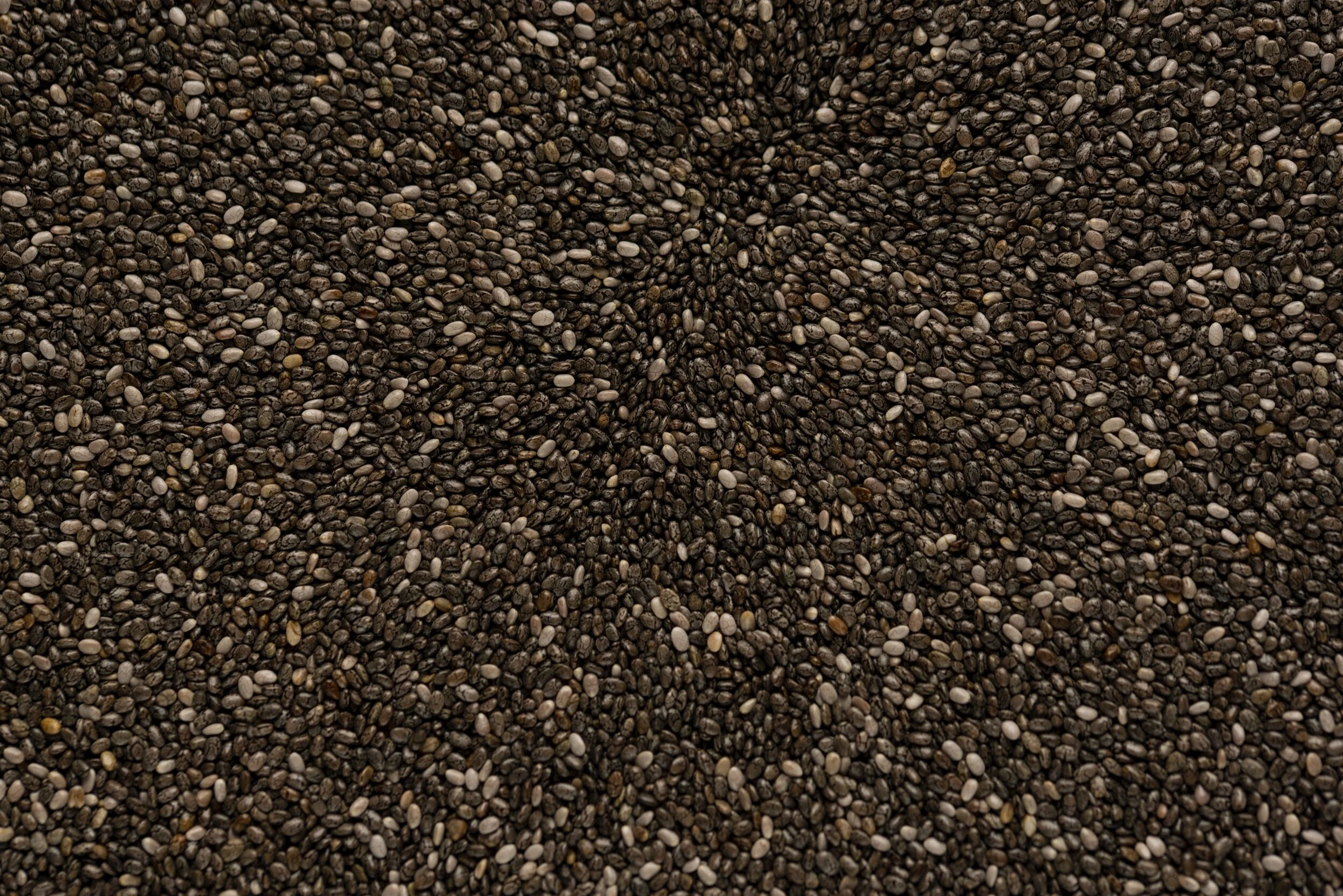 FC 156 Staron