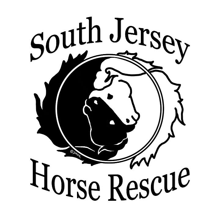 South Jersey Horse Rescue