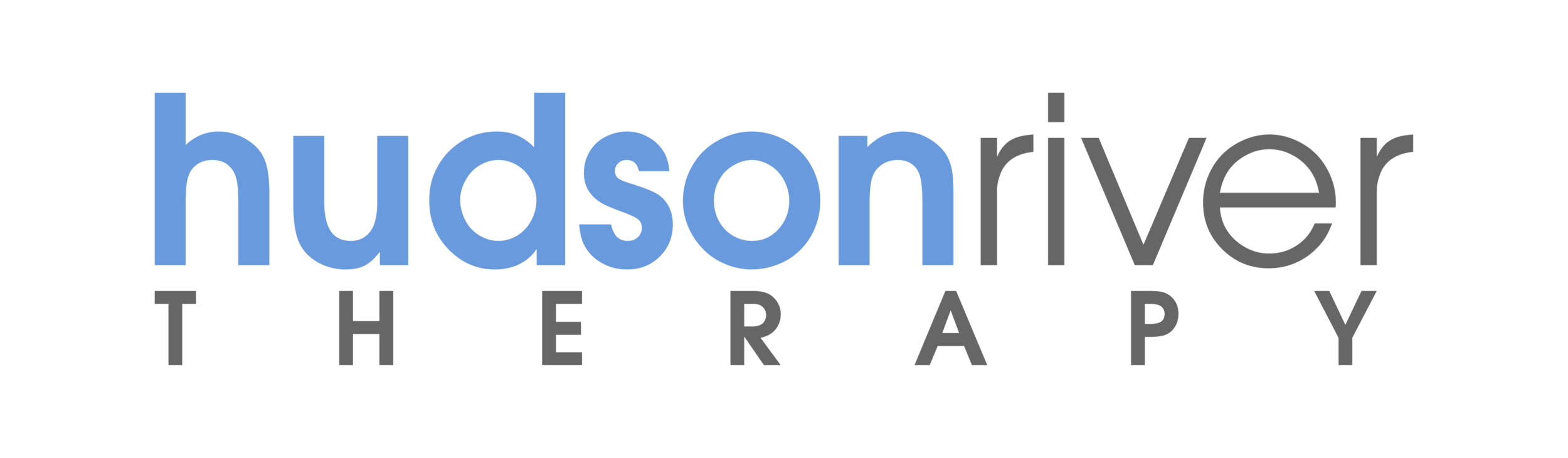 Hudson River Therapy