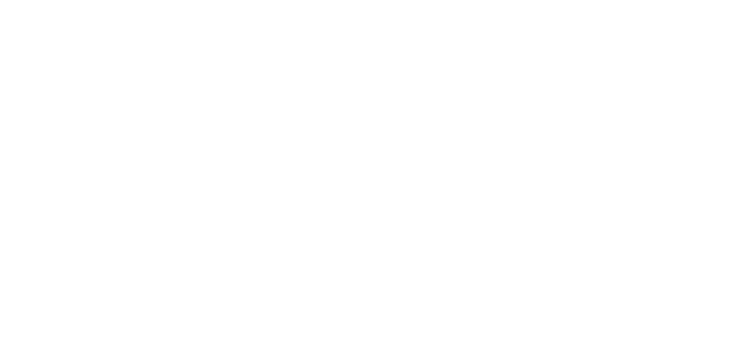 White Crane Kung Fu Academies - Laval / Montreal